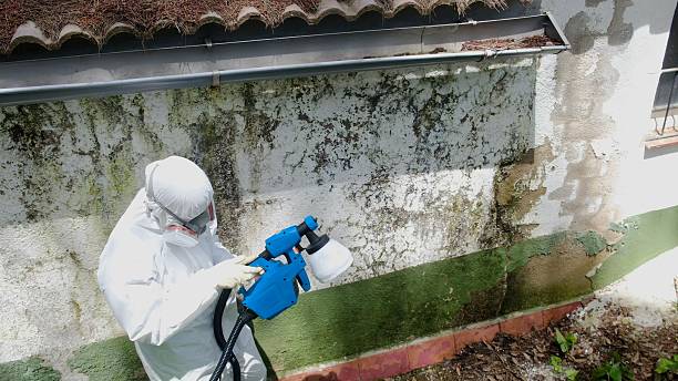 Mold Remediation service in Kingston, Kingston, TN